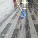 Cay Lau Am 60 Cm Angus(9)