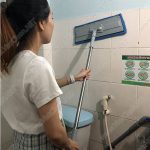 Cay Lau Am Can Tang Do(3)