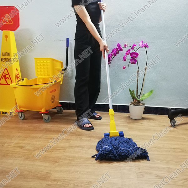 Cay Lau San Uot Xanh Duong(2)