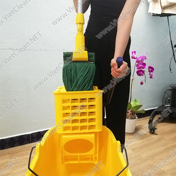 Cay Lau San Uot Xanh La(3)