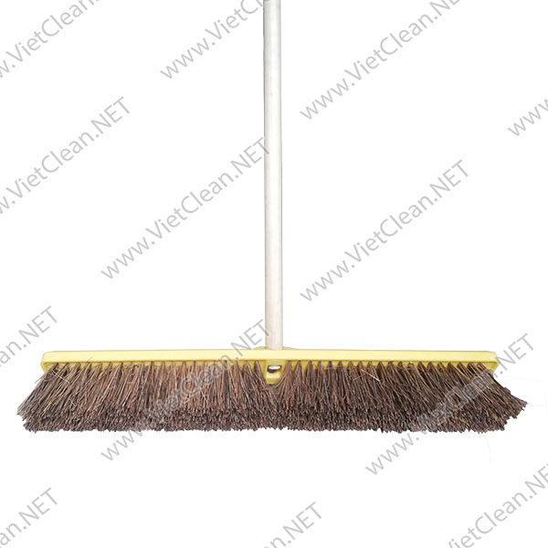 Cay Quet San 61cm 4482(1)