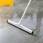 cay-gat-nuoc-4489(2)