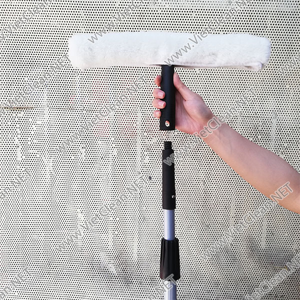 Cay Lau Tran Dau Bong Tho 6m(1)